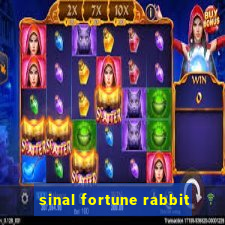 sinal fortune rabbit